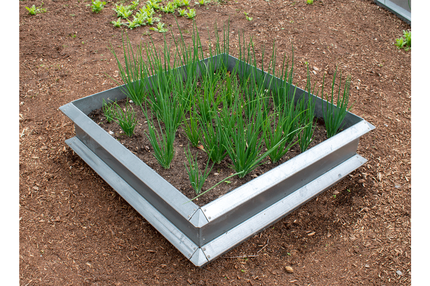 Højbed, galvaniseret, 1x1 meter hovedmodul